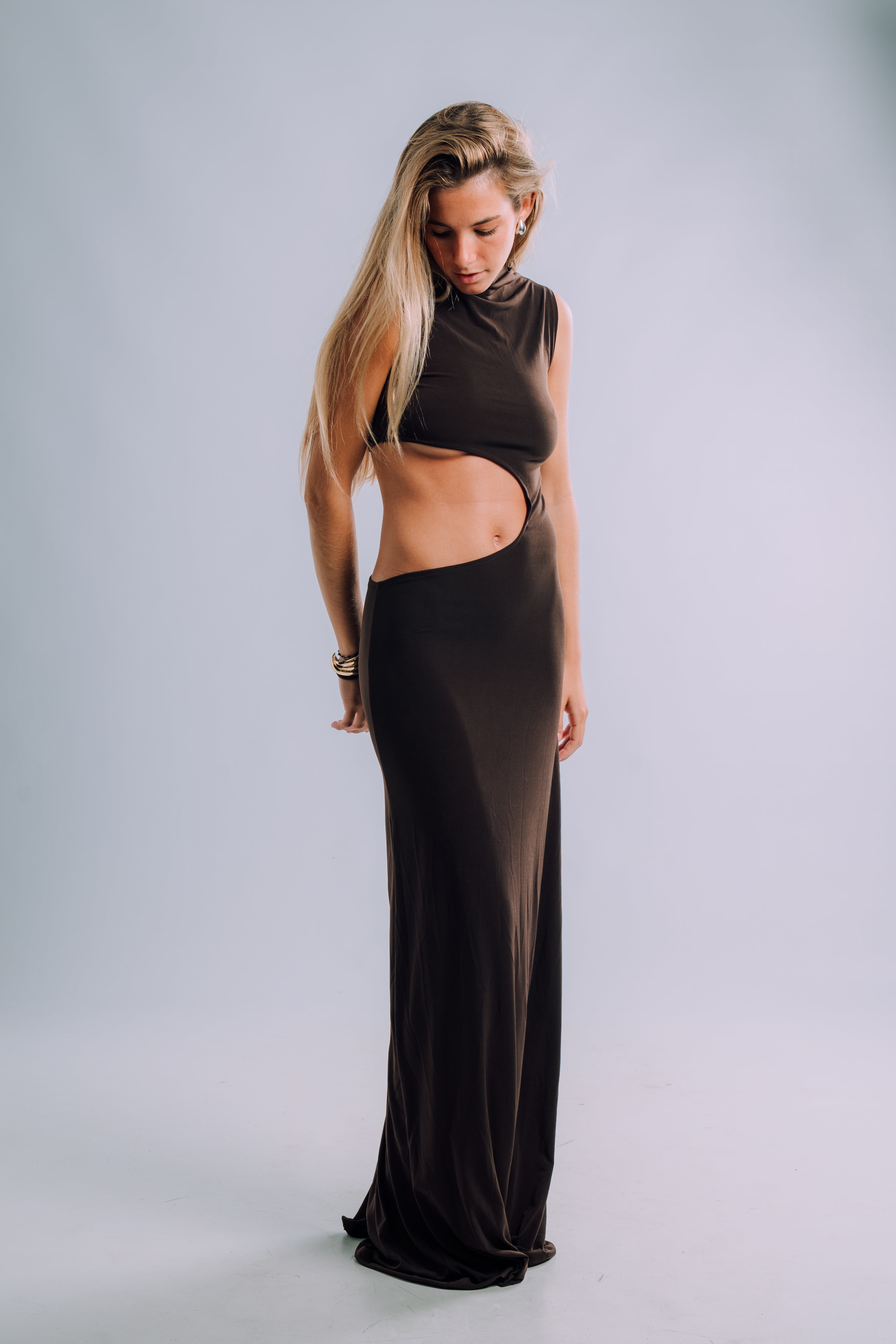 Moonlit Dress Brown