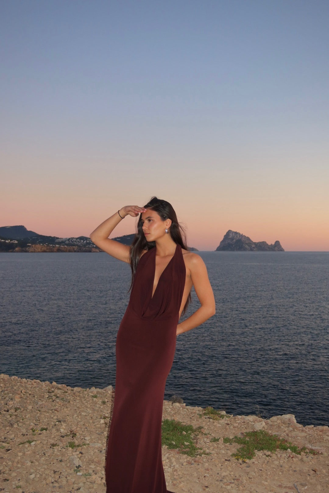 Mist Dress Brown