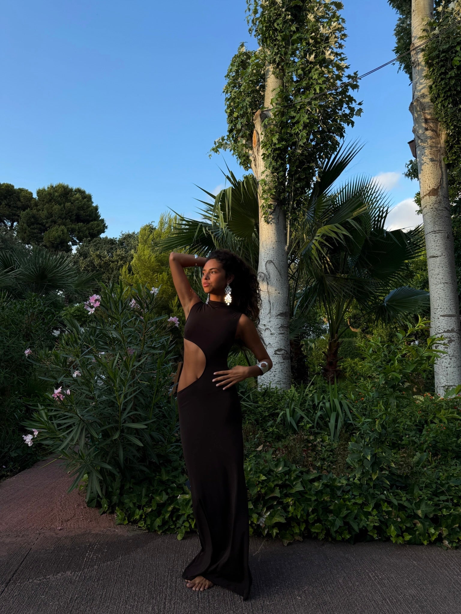 Moonlit Dress Brown